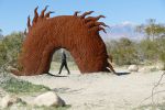 PICTURES/Borrego Springs Sculptures - Dinosaurs & Dragon/t_P1000400.JPG